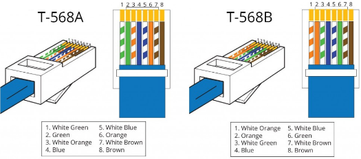 Como realiza un patch cord con cable utp y plugs RJ-45 ENSON